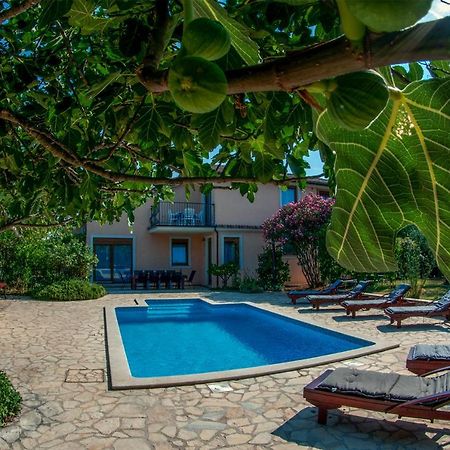 House /Villa Maja Ližnjan Екстериор снимка