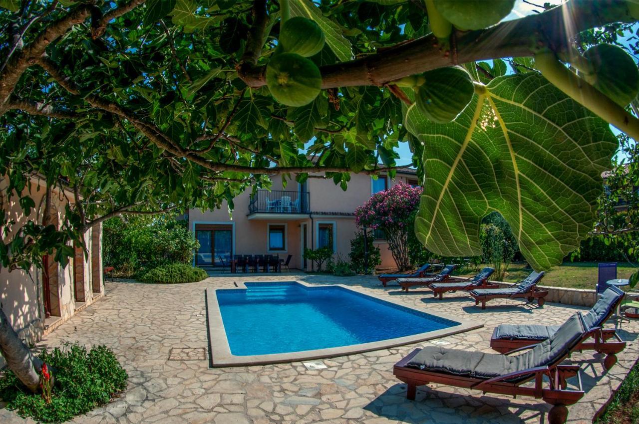 House /Villa Maja Ližnjan Екстериор снимка