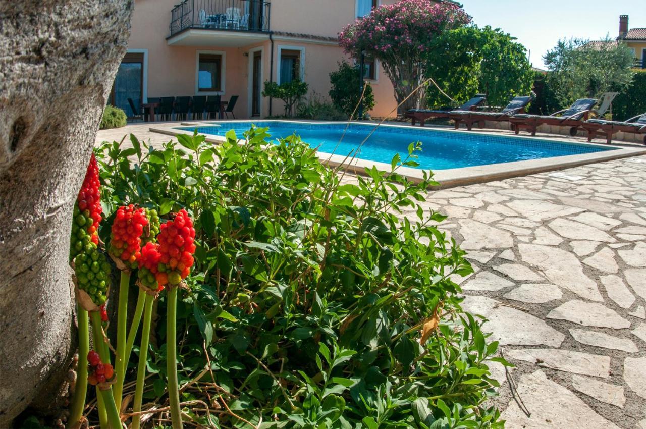 House /Villa Maja Ližnjan Екстериор снимка